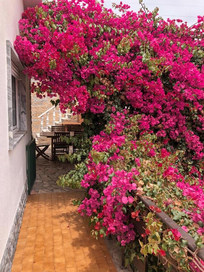 Lagun Bed & Breakfast Santo Isidoro Luaran gambar